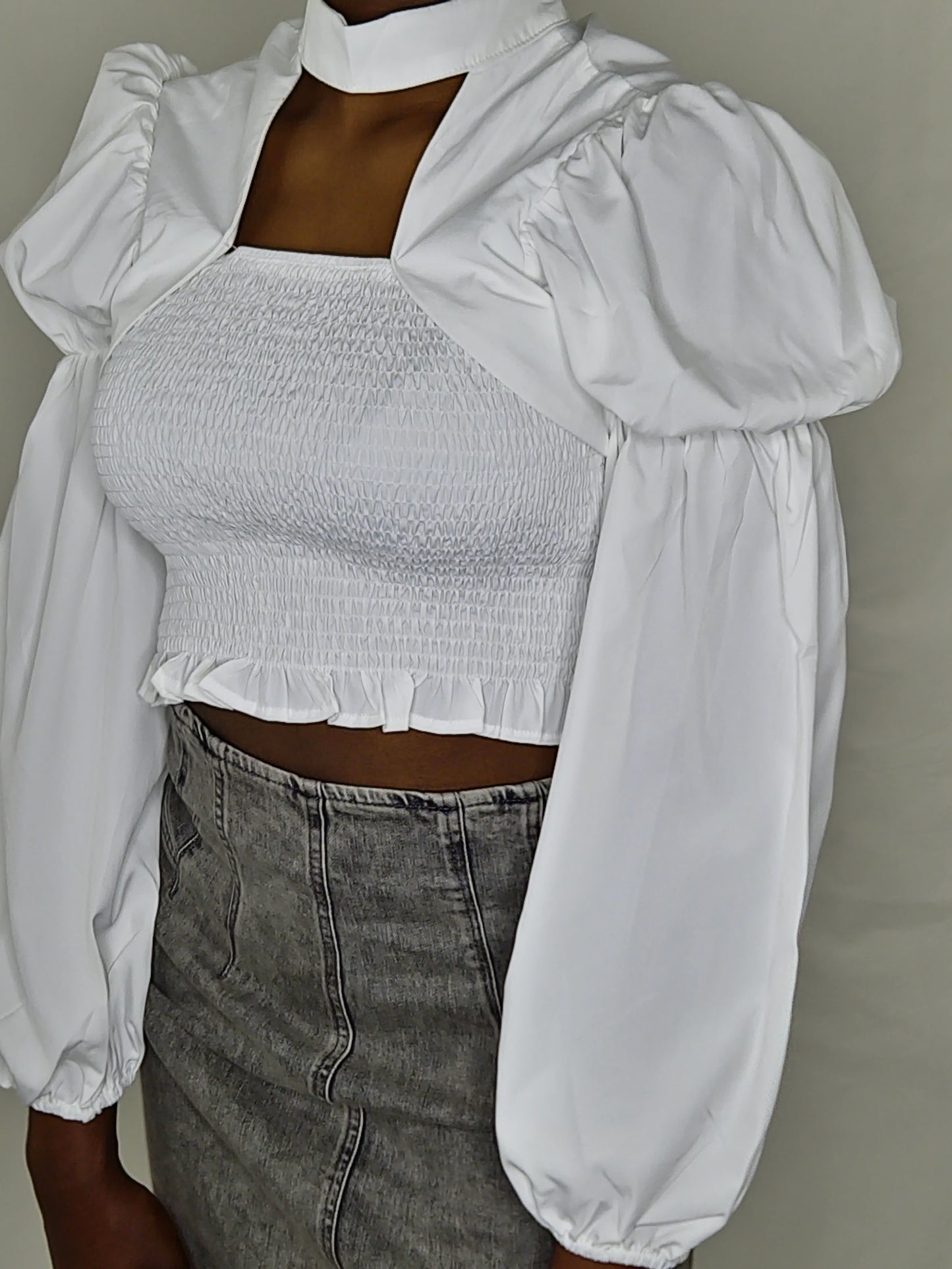 LongSleeve Sleeve Crop Top Blouse