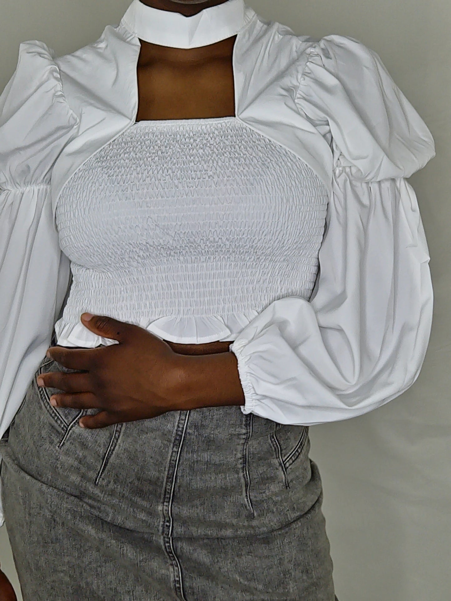 LongSleeve Sleeve Crop Top Blouse