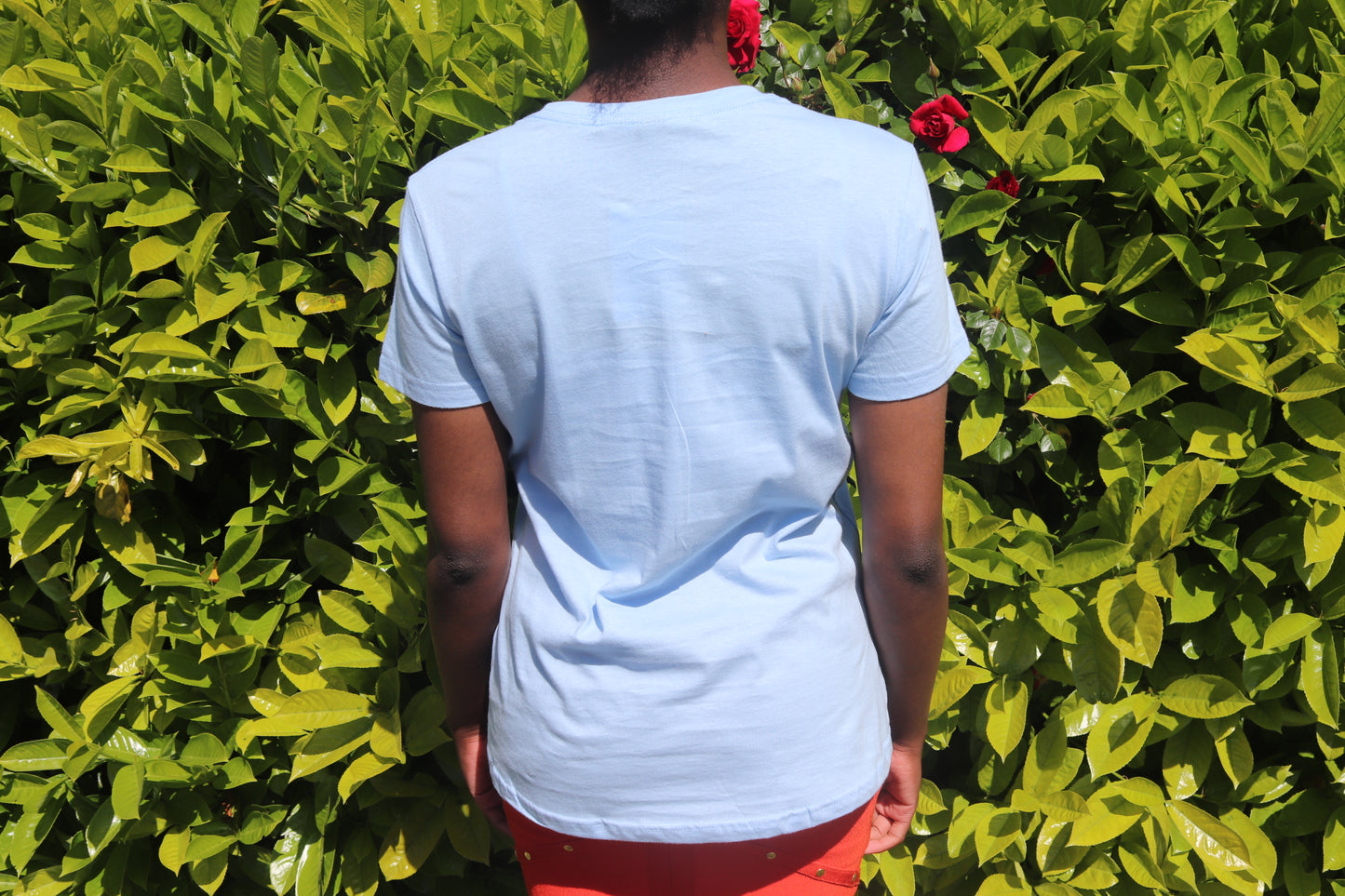 Blue Short sleeve cotton T-Shirt