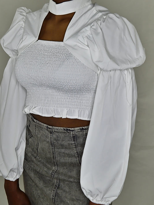 LongSleeve Sleeve Crop Top  Blouse